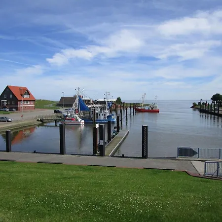 Familiennest Sehestedt (Lower-Saxony)