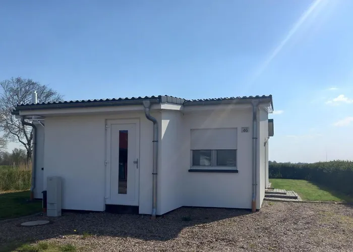 Familiennest * Sehestedt (Lower-Saxony)